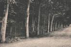 700106	Bergen	1922 De Hoflaan	Gelopen met postzegel, Verzamelen, Ansichtkaarten | Nederland, Ophalen of Verzenden, 1920 tot 1940