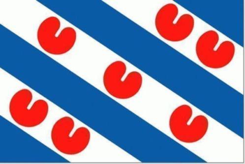 Friese vlag | provincie Friesland, Diversen, Vlaggen en Wimpels, Nieuw, Verzenden
