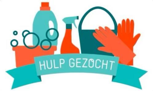 Schoonmaakster gezocht, Diensten en Vakmensen, Huishoudelijke hulp, Schoonmaken