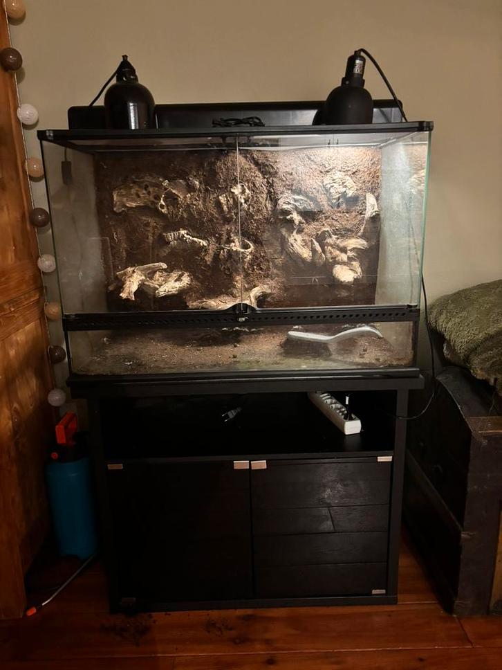 terrarium exo terra met bijhorende kast en lampen, Dieren en Toebehoren, Reptielen en Amfibieën | Toebehoren, Gebruikt, Terrarium of Paludarium