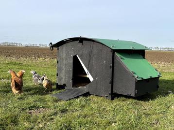 Kunststof Kippenhok – Nestera Large Grondmodel beschikbaar voor biedingen