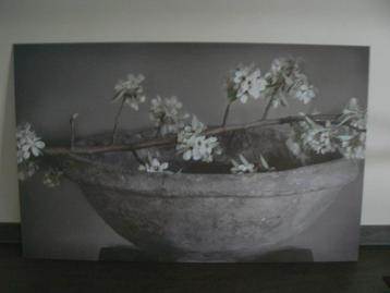 Spatscherm alu-dibond 50x80 cm 3mm dik beschikbaar voor biedingen