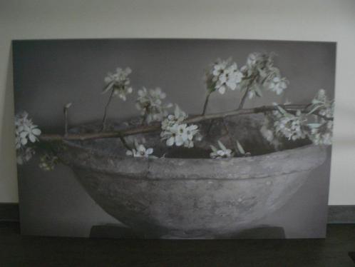 Spatscherm alu-dibond 50x80 cm 3mm dik, Huis en Inrichting, Keuken | Keukenelementen, Nieuw, Minder dan 100 cm, 50 tot 100 cm
