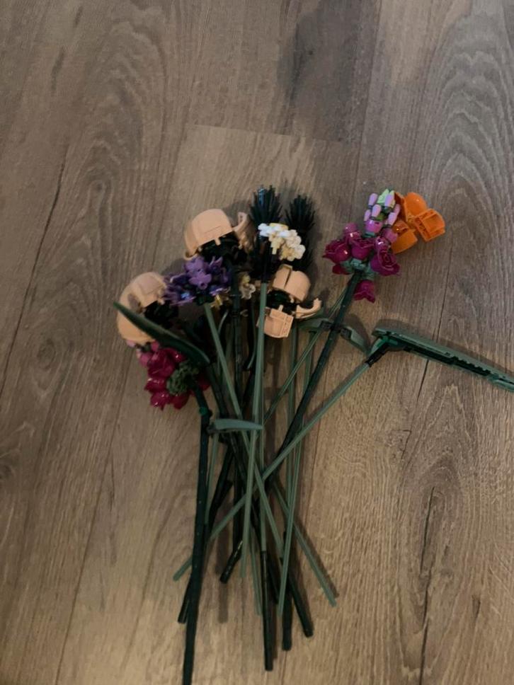 Lego botanical flowers zonder doos, Kinderen en Baby's, Speelgoed | Duplo en Lego, Zo goed als nieuw, Ophalen
