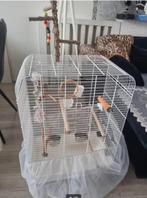 Vogelkooi met toebehoren, Ophalen, Zo goed als nieuw