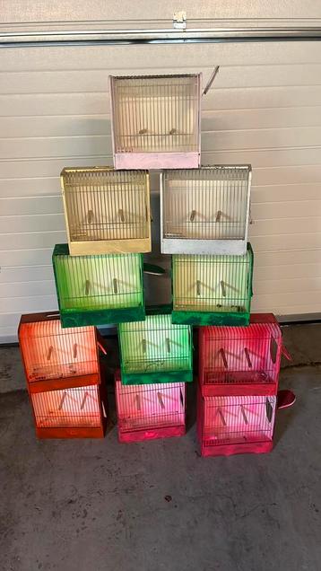 Voerbakken vogel kooien vogelhuisjes aangeboden beschikbaar voor biedingen