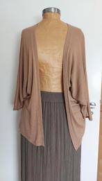 Mooi vestje poederkleur m/l zgan!, Ophalen of Verzenden, Zo goed als nieuw