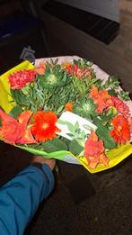 ZZP bezorger bloemen gezocht Rotterdam met eigen busje, Vacatures, Variabele uren, Overige niveaus, Starter, Overige vormen