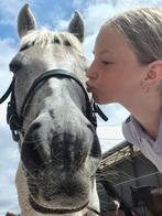 Verzorgpony gezocht, Dieren en Toebehoren, Paarden en Pony's | Verzorgingsproducten, Ophalen of Verzenden