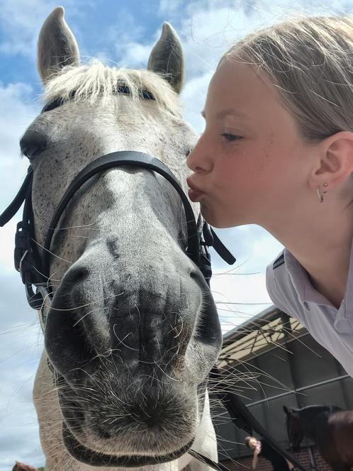 Verzorgpony gezocht, Dieren en Toebehoren, Paarden en Pony's | Verzorgingsproducten, Ophalen of Verzenden