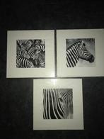 zebra ikea fotolijst, Huis en Inrichting, Woonaccessoires | Schilderijen, Tekeningen en Foto's, Ophalen, Minder dan 50 cm, Zo goed als nieuw