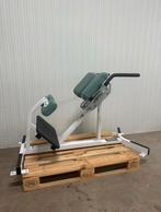 Hammer Strength Hyperextension / Back extension bank