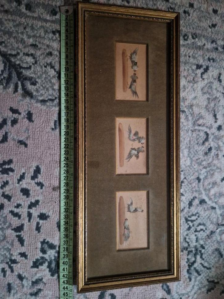 Vintage ingelijste aquarel van vogels, Antiek en Kunst, Kunst | Schilderijen | Klassiek, Ophalen of Verzenden