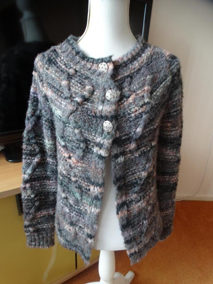 Prachtig vest van CRISTINA GAVIOLI mt M 38/40, Kleding | Dames, Truien en Vesten, Nieuw, Maat 38/40 (M), Ophalen of Verzenden