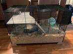 Hamsterhok incl toebehoren, Dieren en Toebehoren, Gebruikt, 75 tot 110 cm, Ophalen, Minder dan 60 cm