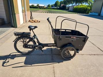 Bakfiets Vogue beschikbaar voor biedingen