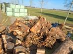 Knotwilg knotsen., Minder dan 3 m³, Ophalen, Overige houtsoorten, Blokken