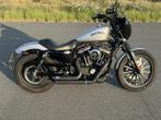 HARLEY-DAVIDSON SPORTSTER IRON XL883N, Motoren, 2 cilinders, Chopper, Particulier, ABS