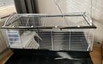 Konijnenhok Ferplast Casita 120, 110 cm of meer, Zo goed als nieuw, Konijn, Hok