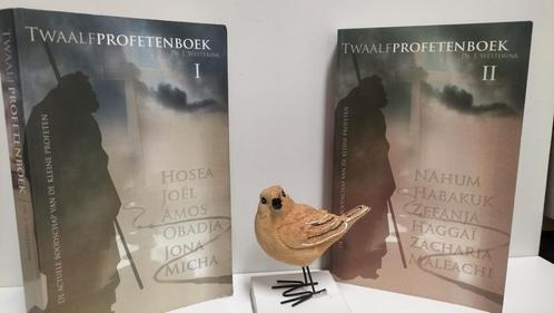 Westerink, Ds. J.; Twaalf profetenboek deel 1 en 2, Boeken, Godsdienst en Theologie, Gelezen, Christendom | Protestants, Ophalen of Verzenden
