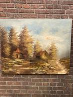 Olieverf schilderij 80/100 cm bosgezicht, Ophalen