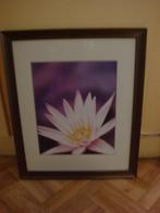 Ingelijste poster 45x55, Huis en Inrichting, Ophalen, Minder dan 50 cm, 50 tot 75 cm, Zo goed als nieuw