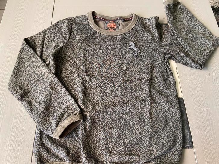 Mooie trui van de WE mt 158/164 voor 1,50 !!!, Kinderen en Baby's, Kinderkleding | Maat 158, Gebruikt, Meisje, Trui of Vest, Ophalen of Verzenden