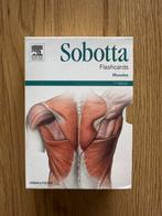 Physiotheraphy Flashcards - Muscle (Sobotta), Ophalen, Nieuw, Overige typen