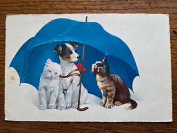 Hond, Jack Russel, 2 poezen, katten onder een paraplu, 1934 beschikbaar voor biedingen