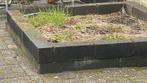 Gratis (ophalen) 60 stuks, Tuin en Terras, Bielzen en Borders, Beton, Gebruikt, Ophalen