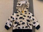 Leuk beren jasje maat 62/68, Kinderen en Baby's, Babykleding | Maat 74, Ophalen of Verzenden, Zo goed als nieuw, Jongetje of Meisje