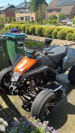 Eagle Motorsport Madmax Highway 250cc, Motoren, 250 cc