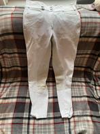 Pikeur 42, Dieren en Toebehoren, Paardrijkleding, Ophalen of Verzenden, Zo goed als nieuw, Dressuur, Bovenkleding