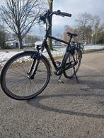 Pegasus siena E7F, Nieuw, 50 km per accu of meer, 55 tot 59 cm, Ophalen