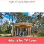 Vacantie overname met hond kind nederland, Vakantie, Bemiddelingsbureau