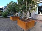 Hoogwaardige cortenstalen plantenbakken NIEUW 100x100x50, Tuin en Terras, Ophalen of Verzenden, Nieuw