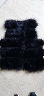 Zwart Harig Gilet, Zwart, Ophalen of Verzenden, Zo goed als nieuw, Coolcat