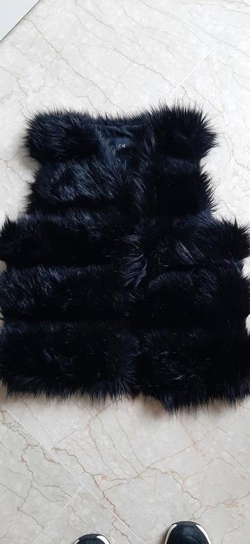 Zwart Harig Gilet beschikbaar voor biedingen