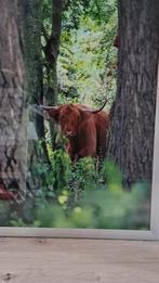 Leeuwarder bos , schotse hooglander met kalf, Huis en Inrichting, Minder dan 50 cm, Oorspronkelijke maker, Ophalen of Verzenden