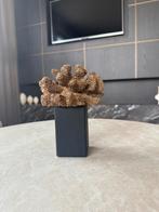 Koraal Decoratie op Sokkel, Huis en Inrichting, Woonaccessoires | Overige, Ophalen of Verzenden, Zo goed als nieuw