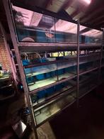 Volglas aquariums 94 x 40 x 35cm gratis, Dieren en Toebehoren, Ophalen, Gebruikt, Leeg aquarium