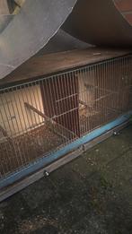 Kweekkooi kooi, Dieren en Toebehoren, Ophalen of Verzenden, Zo goed als nieuw, Hout, Vogelkooi
