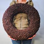 Elzenkegels krans 55 cm, Ophalen of Verzenden, Nieuw