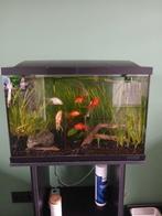 Superfisch aquarium 70 liter, Ophalen of Verzenden, Zo goed als nieuw