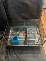 Hamster/cavia kooi, Dieren en Toebehoren, Kooi, Zo goed als nieuw, Cavia, Ophalen