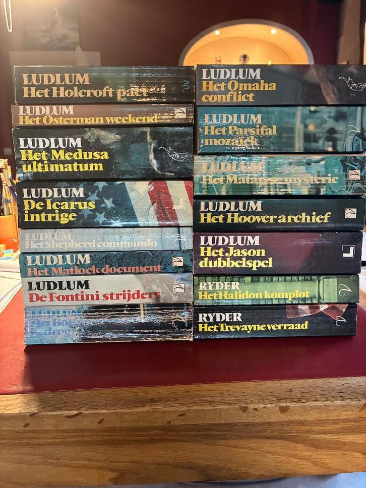 Set 15 Ludlum thrillers | Ideaal Sinterklaas- of kerstcadeau, Boeken, Thrillers, Gelezen, Nederland, Ophalen of Verzenden