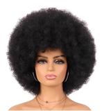 Afro pruik/ wig 100% menselijke haar, Sieraden, Tassen en Uiterlijk, Uiterlijk | Haarverzorging, Ophalen of Verzenden, Nieuw, Pruik of Haarverlenging