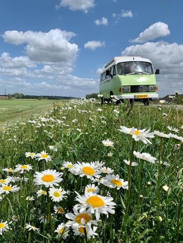 Klassieke Mercedes Hanomag Camper - Avontuur wacht! beschikbaar voor biedingen