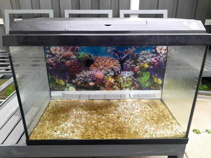 Aquariums de grotere maat is nieuw, Dieren en Toebehoren, Vissen | Aquaria en Toebehoren, Nieuw, Leeg aquarium, Ophalen