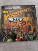 BZN Grootste Hits LP Nederlandstalig, Ophalen of Verzenden, Gebruikt, Pop